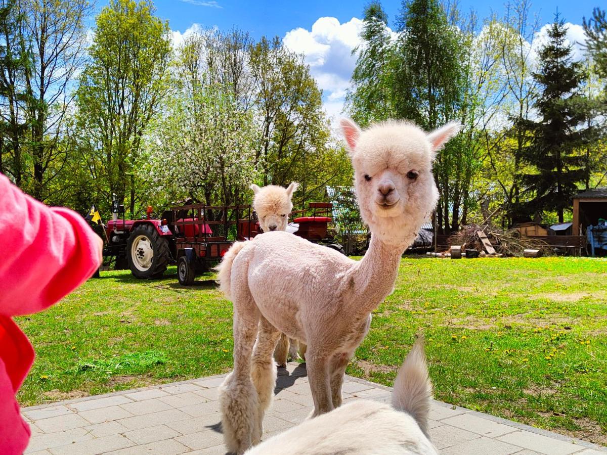 Domek Na Slonecznikowej Chmielno Exterior foto