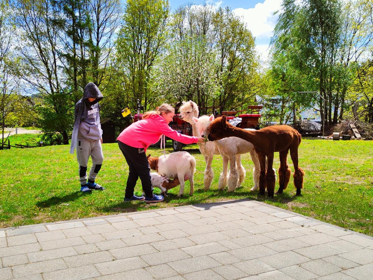 Domek Na Slonecznikowej Chmielno Exterior foto