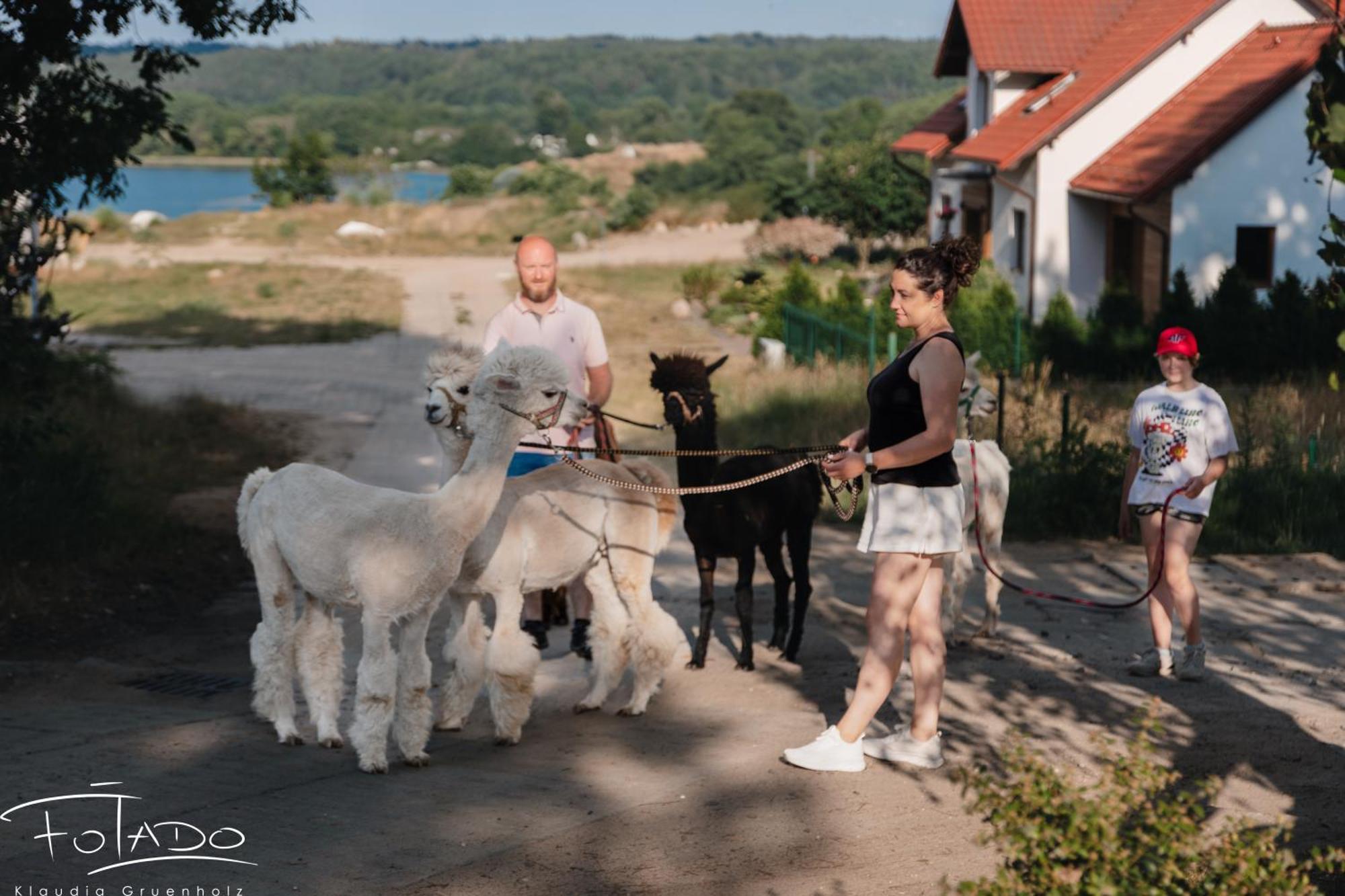 Domek Na Slonecznikowej Chmielno Exterior foto